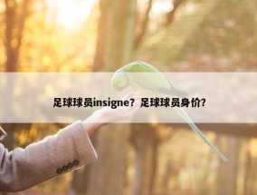 足球球员insigne？足球球员身价？