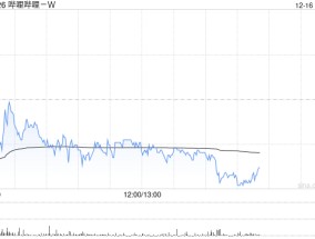 哔哩哔哩-W12月13日斥资300万美元回购15.3万股